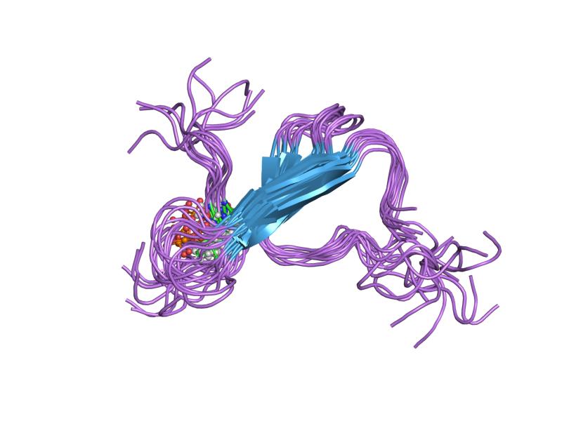 Tau Protein